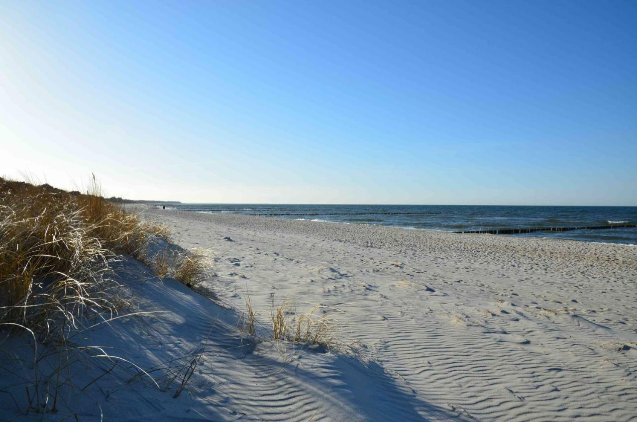 Lütten Kulli - 1 * Ostseeheilbad Zingst